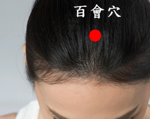 百會穴位置 百會穴位置