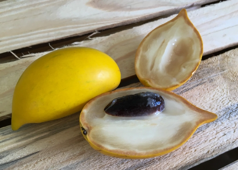 黃金果好處 黃金果好處