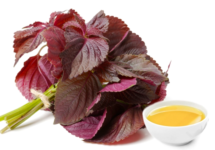 紫蘇油好處 紫蘇油好處