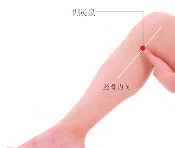 陰陵泉穴位置 陰陵泉穴位置