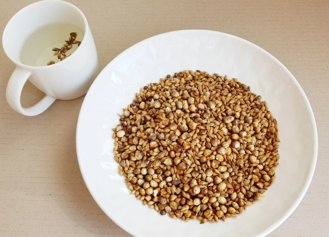 大麥茶好處