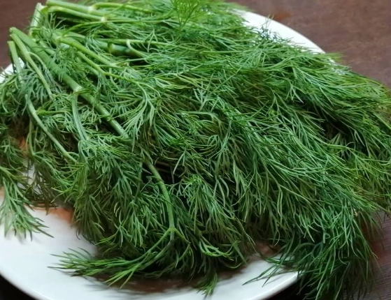 茴香好處 茴香好處
