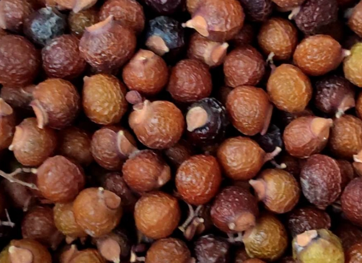 無患子肥皂好處 無患子肥皂好處