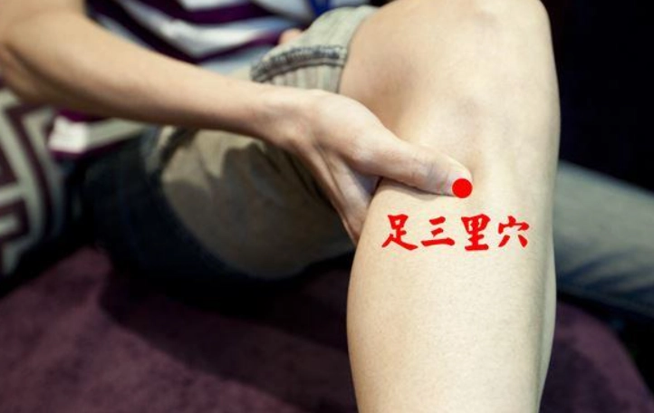足三里位置 足三里位置