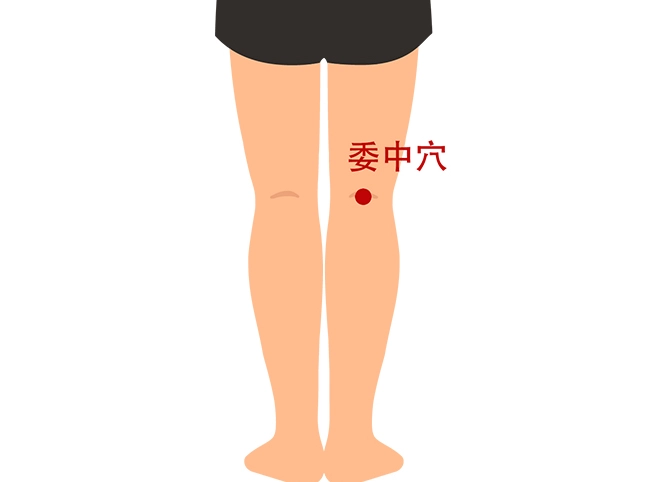 委中穴按摩 委中穴按摩