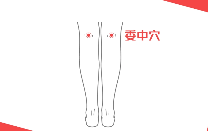委中穴疼痛 委中穴疼痛