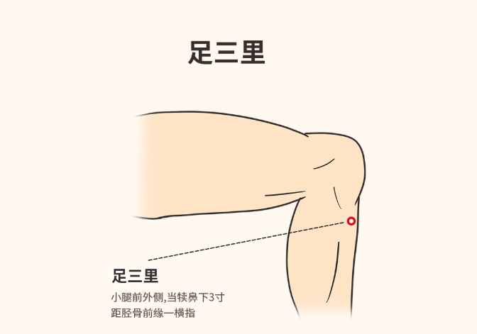 足三里穴道疼痛 足三里穴道疼痛