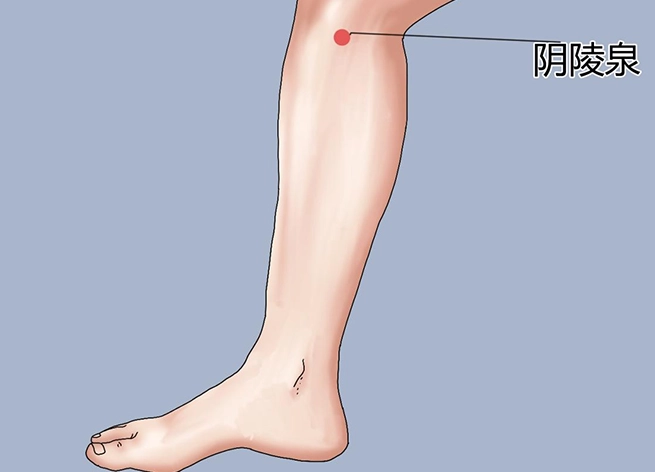 陰陵泉疼痛原因 陰陵泉疼痛原因