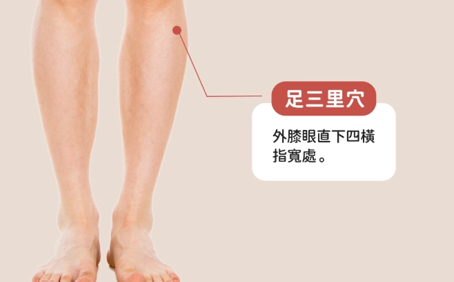 足三里穴功效 足三里穴功效