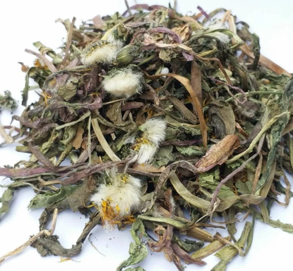 蒲公英功效 蒲公英功效