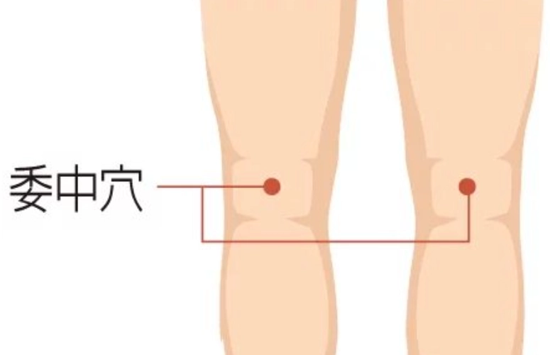 委中穴按壓技巧 委中穴按壓技巧