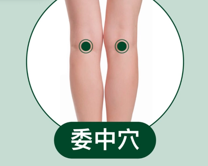 委中穴位置 委中穴位置