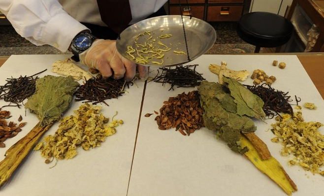 感冒中醫治療 感冒中醫治療