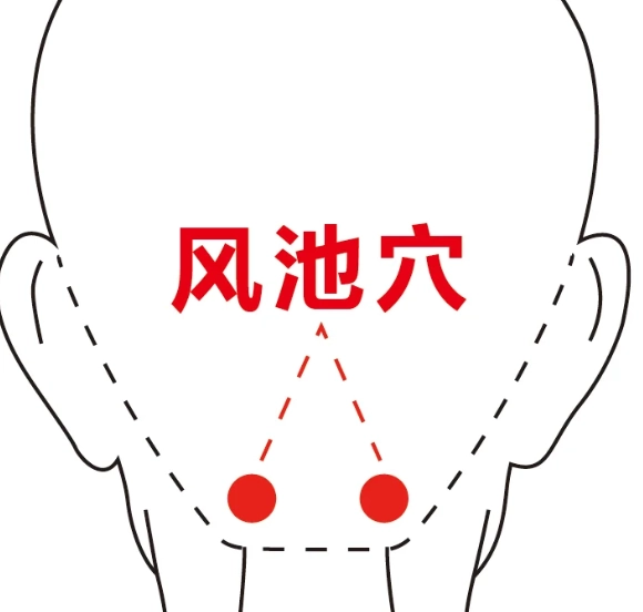 風池穴 風池穴
