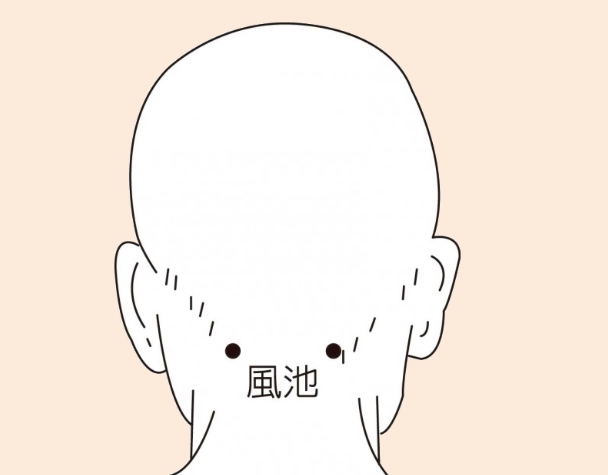 風池穴疼痛 風池穴疼痛