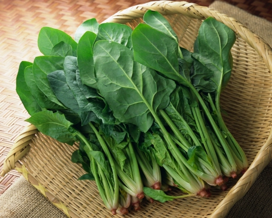 一氧化氮食物列表 一氧化氮食物列表