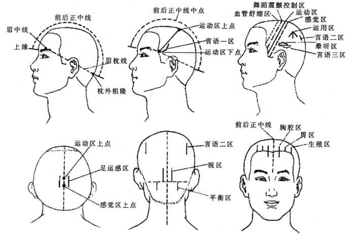 針灸原理 針灸原理
