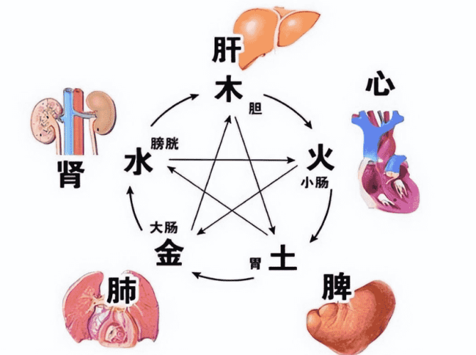 抑鬱症的中醫辨證分型 抑鬱症的中醫辨證分型