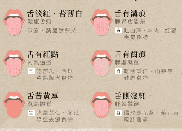 臟腑經絡與舌的聯繫 臟腑經絡與舌的聯繫