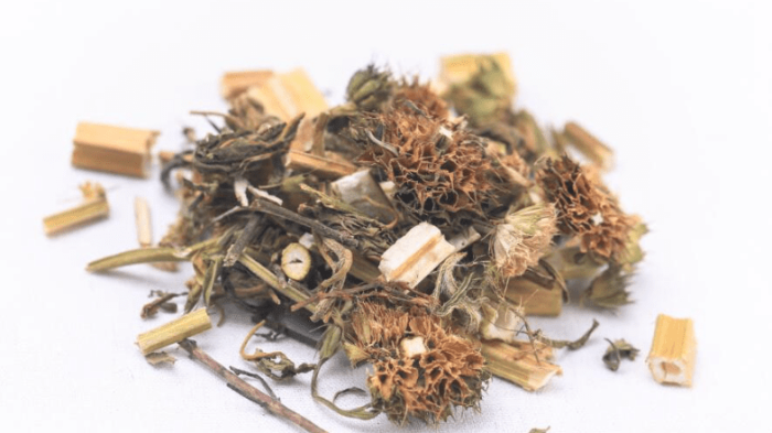 使用益母草的潛在交互作用 使用益母草的潛在交互作用