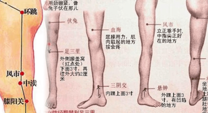 氣血不足的治療 氣血不足的治療