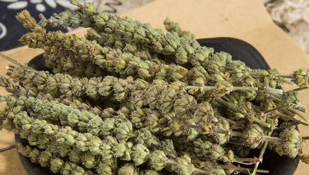 荊芥有什麼功效 荊芥有什麼功效