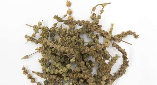 荊芥副作用 荊芥副作用
