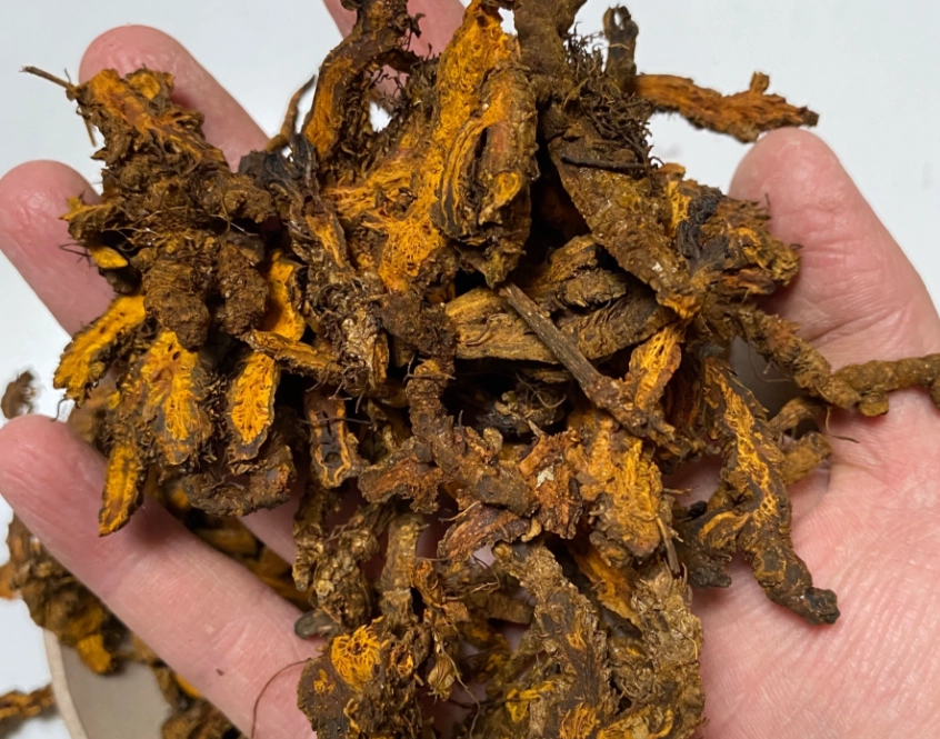 黃連副作用皮膚 黃連副作用皮膚