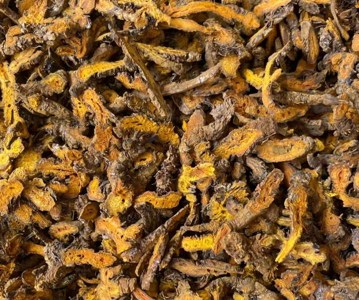 黃連每天吃 黃連每天吃