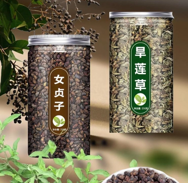 女貞子功效 女貞子功效