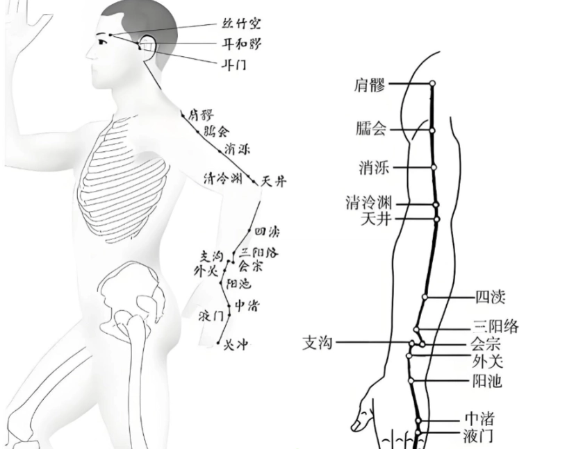 中醫經絡