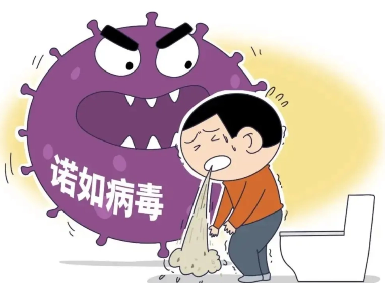諾羅病毒症狀 諾羅病毒症狀