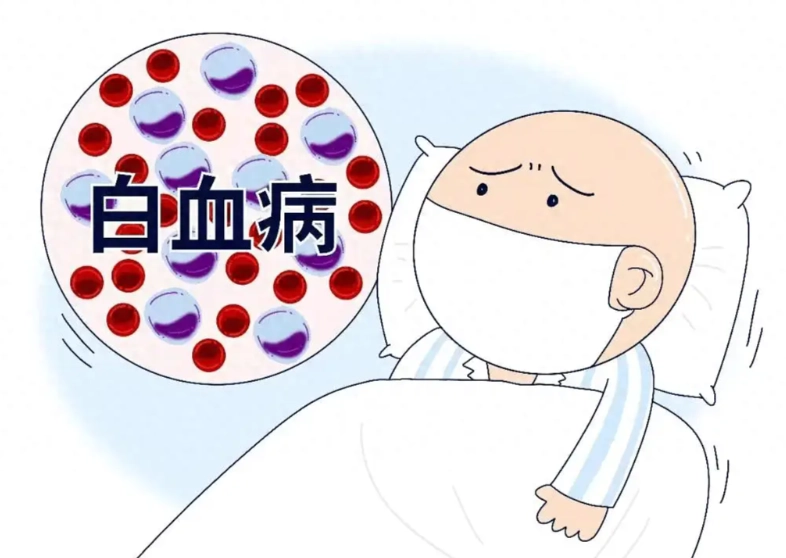 白血病治療方法 白血病治療方法