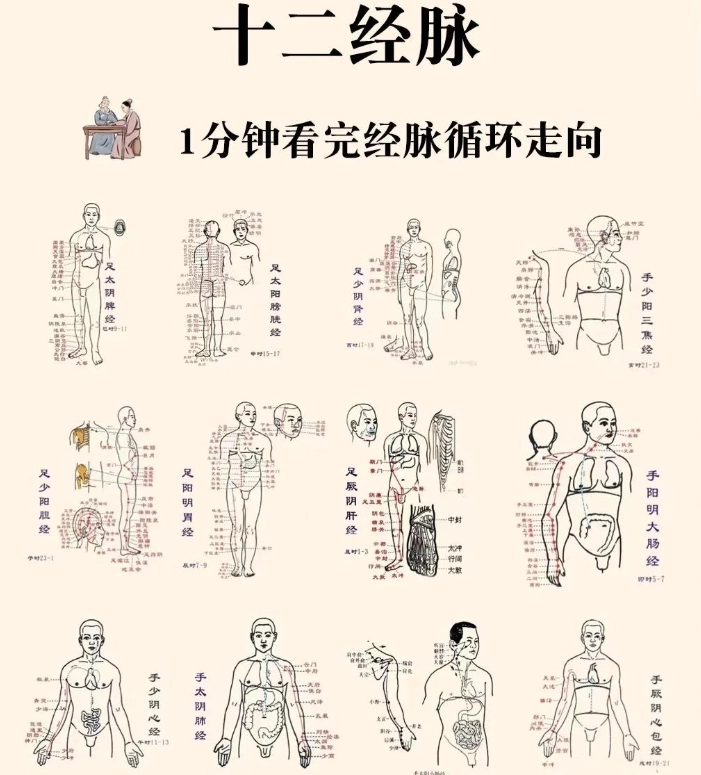 經絡記憶法